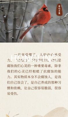 NISSAN Alternator 23100-96210 24V 35A LR235-12B 23100-96101